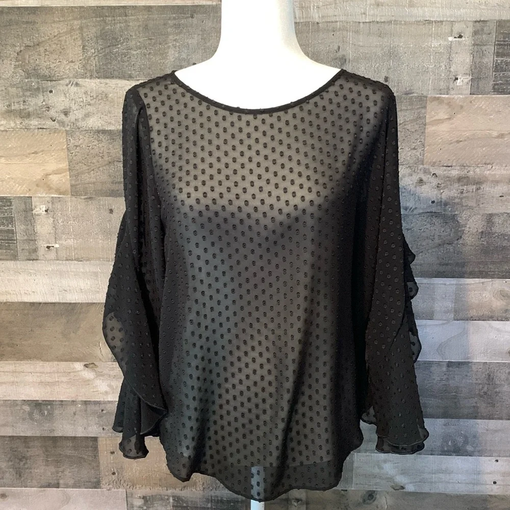 Ann Taylor Sheer Polka Dot Top Size MP - Picture 16 of 16